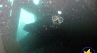 diving-000337