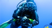 diving-000244
