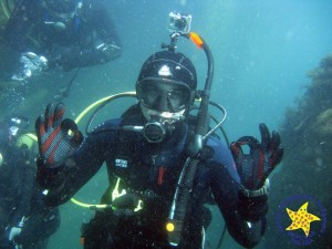 diving - 000116