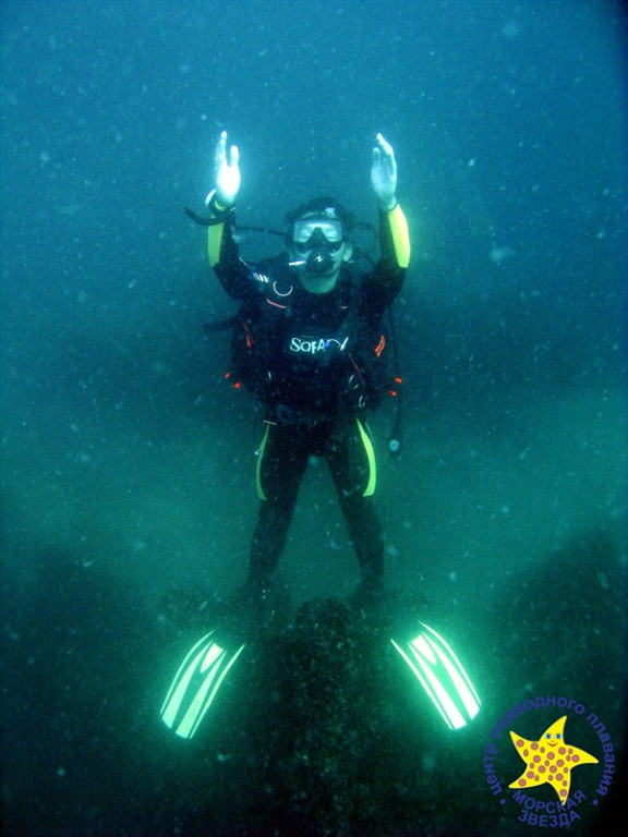 diving-000132