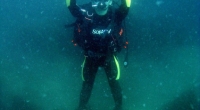 diving-000132