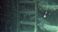 diving-000112