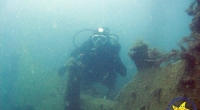 diving-000341