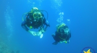 diving-000206